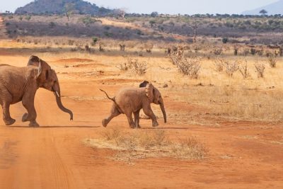 BRAVO CLUB GARODA RESORT - KENYA DAL 26 MARZO AL 03 APRILE 2026